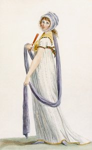 Toilette Demi-Habillee, illustratie uit 
